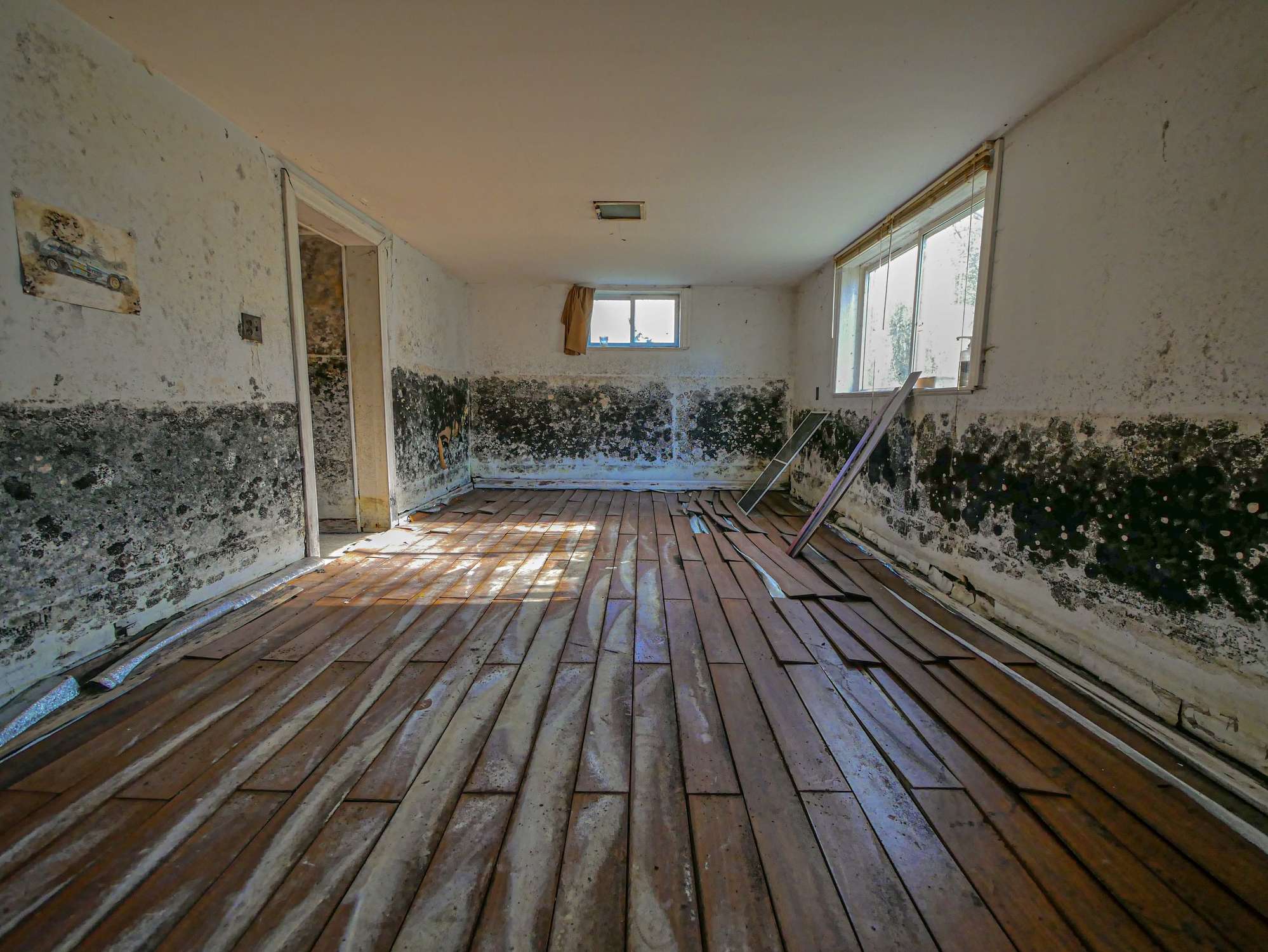 Mold Room